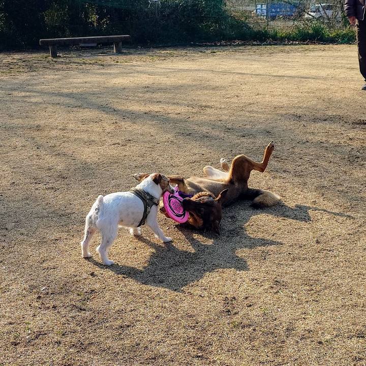 4fd68a0d 2fd4 4372 8607 ca7a133484c9 1742606296913