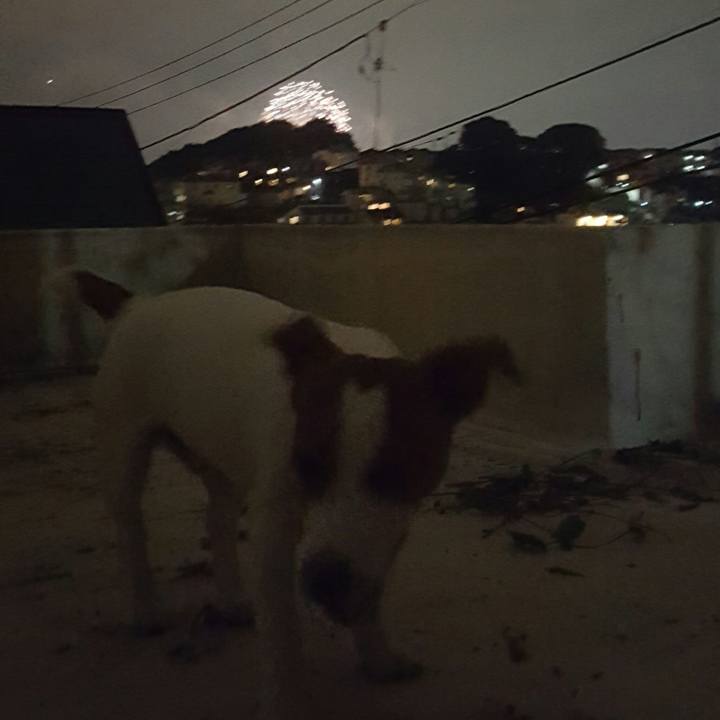 4fd69228 50da 4ccf 987d 3066a251648e 1559473301290