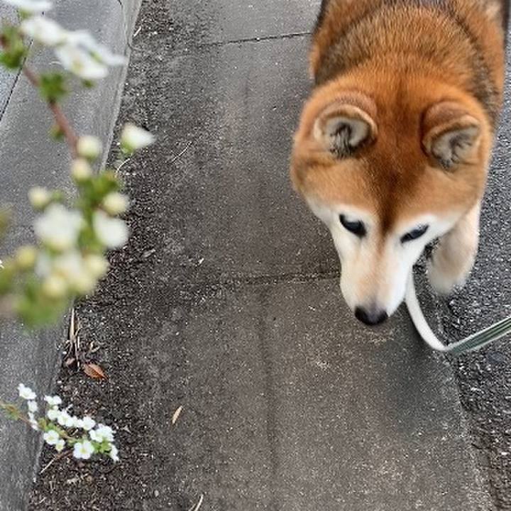 4fd6c1a9 692a 45df a9d5 5d04b5fe86b6 1742629377200