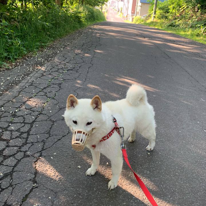 4fd6d072 2ceb 4f58 94a7 8ef22da888e4 1560469112158