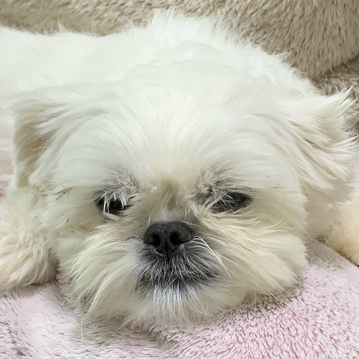 4fd7132c d631 47a2 bca3 c86442a64049 1638004093003