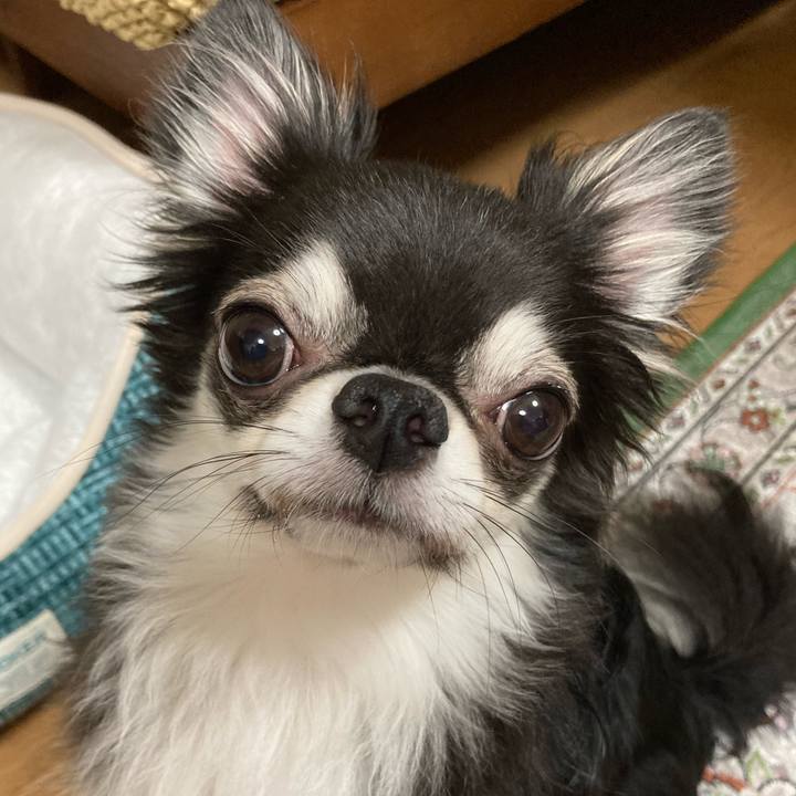 4fd72ca0 1794 4b26 b591 31a35267fb69 1660226038411