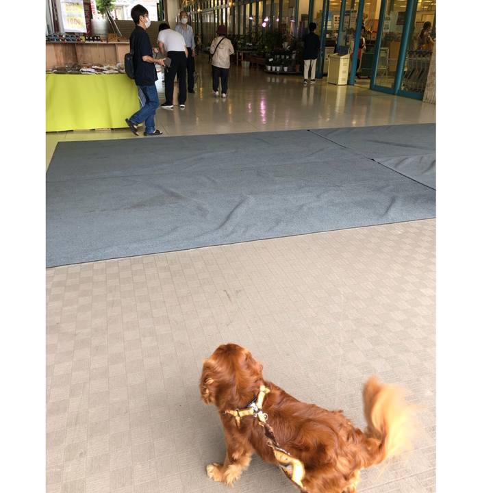 4fd73d58 6e63 40e3 abfa 176d5349008f 1629629027311