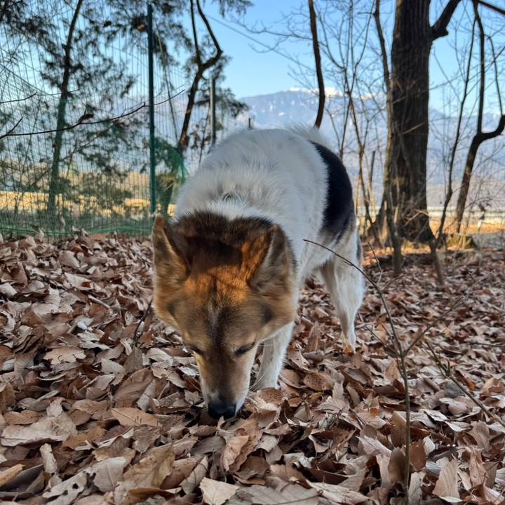 4fd7596a 28f5 4ca7 822e cb345c6ad363 1771201124102