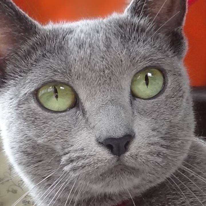 4fd7f1a9 d9d2 431c 98a7 902c71cafd73 1546088378904