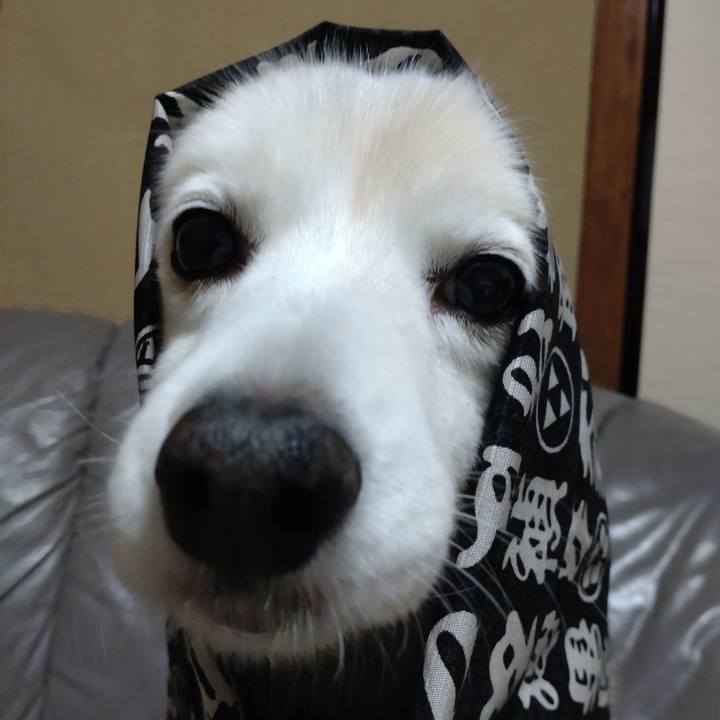 4fd7f9c5 fdc7 49a6 97bb a358900cb614 1641642622962