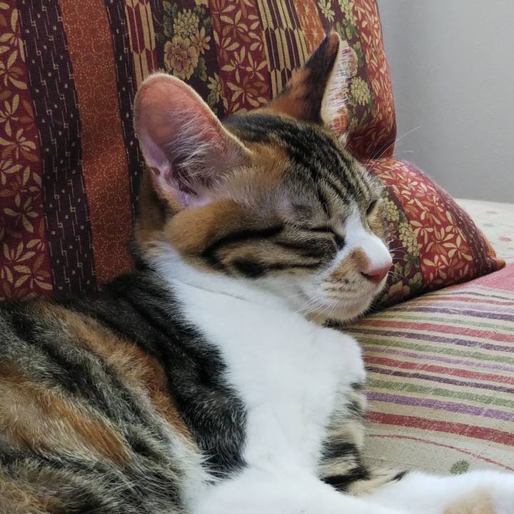 4fd7fceb 01c8 4101 b016 d3f944ea4841 1633664179957