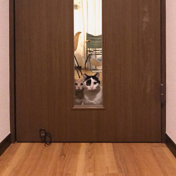 4fd80bf4 d5ad 4349 a48f d12cb16308d4 1551095232497