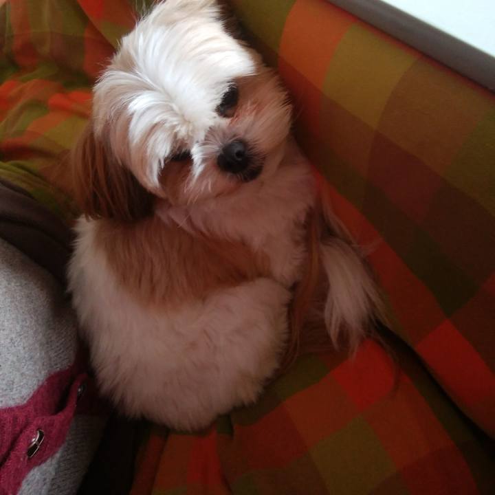 4fd84d81 58ce 4151 9d9f bebda5e5a0c4 1517982460617