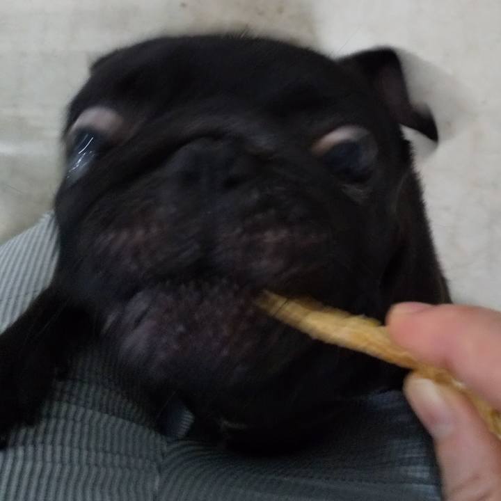 4fd8b0b0 4bd6 4ee3 a5a5 cb5669c85d65 1596765426979