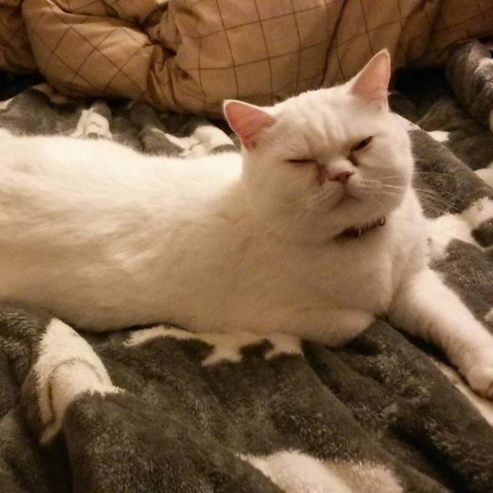 4fd8b27d fa6b 445a 8920 60a71321957b 1513342184027