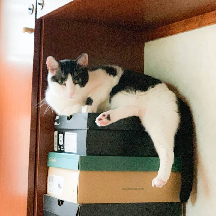 4fd8da28 9b24 41ed 9af5 eefe73e38f4b 1566092752364