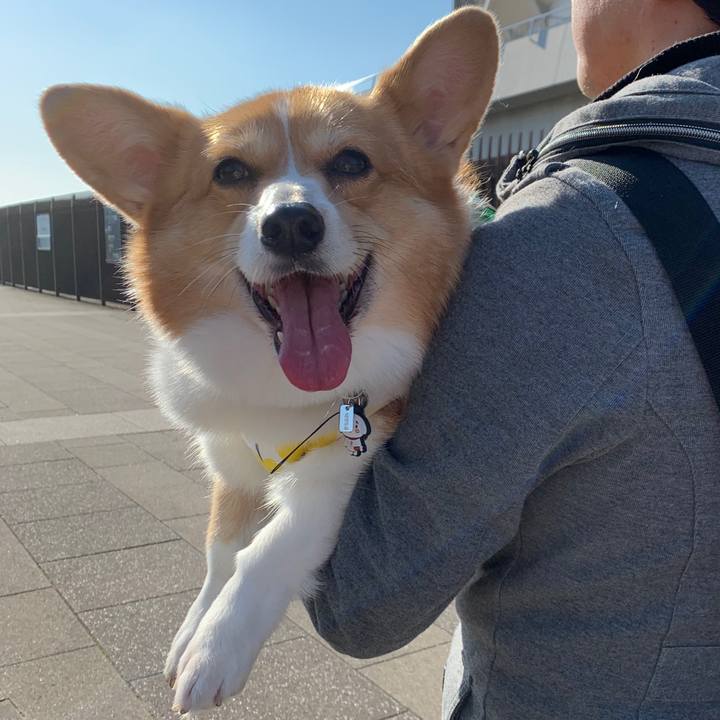 4fd8e22d 6bb5 4004 b5ef 4fbccfd90cb7 1576305377609