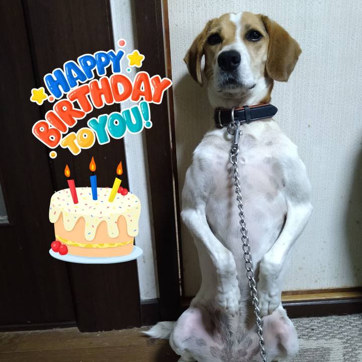 4fd8e57c fd3c 4170 8dcd 0ed410eec232 1628596757593