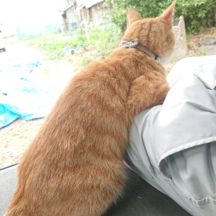 4fd91258 d8c4 4bbe 8451 24624c39ca7a 1592557556498