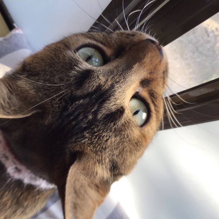 4fd9513b 5d29 4998 8940 761782187011 1609028335606