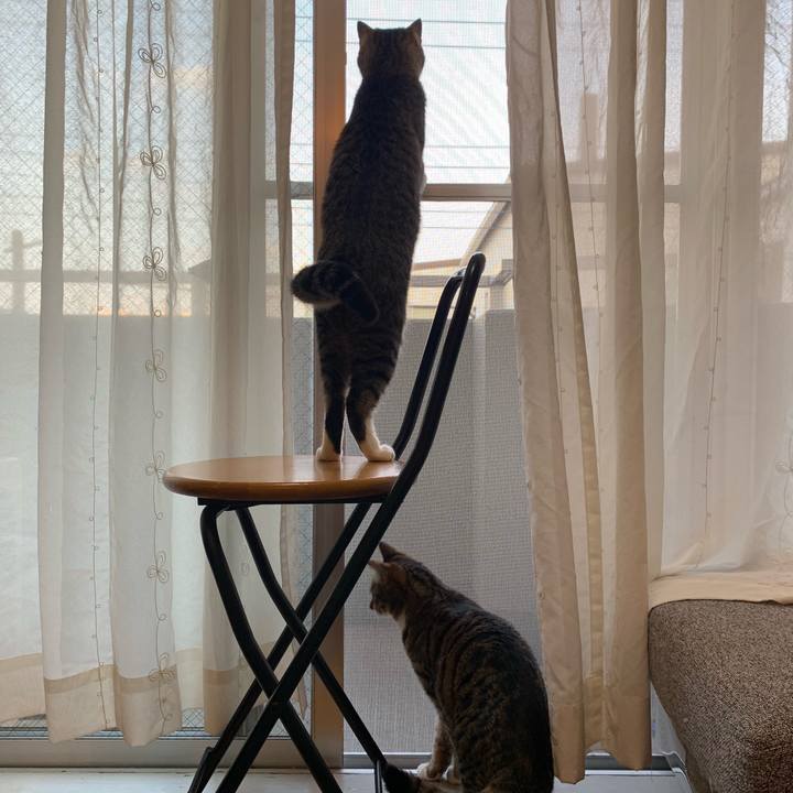 4fd95a85 9af1 4240 ac7e e29c1c88f08f 1557923953093