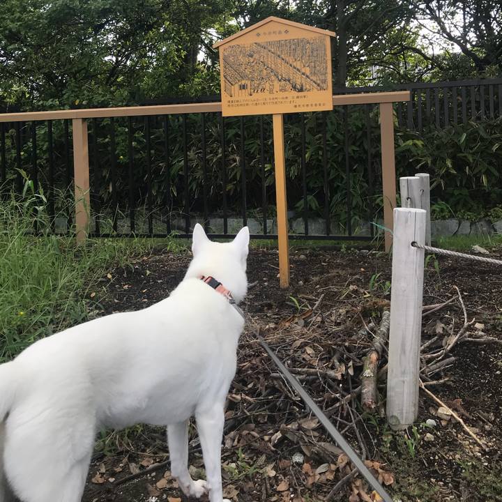 4fd97553 b18f 44a5 bf71 678977161265 1537753141723