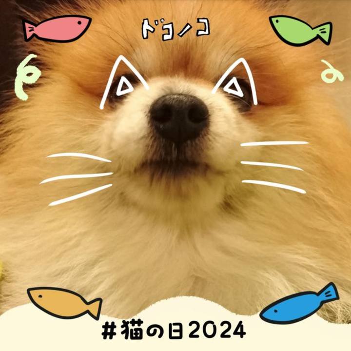 4fd9ae2b 7e86 4fd2 ba03 b5fc138cd0d6 1708614096216