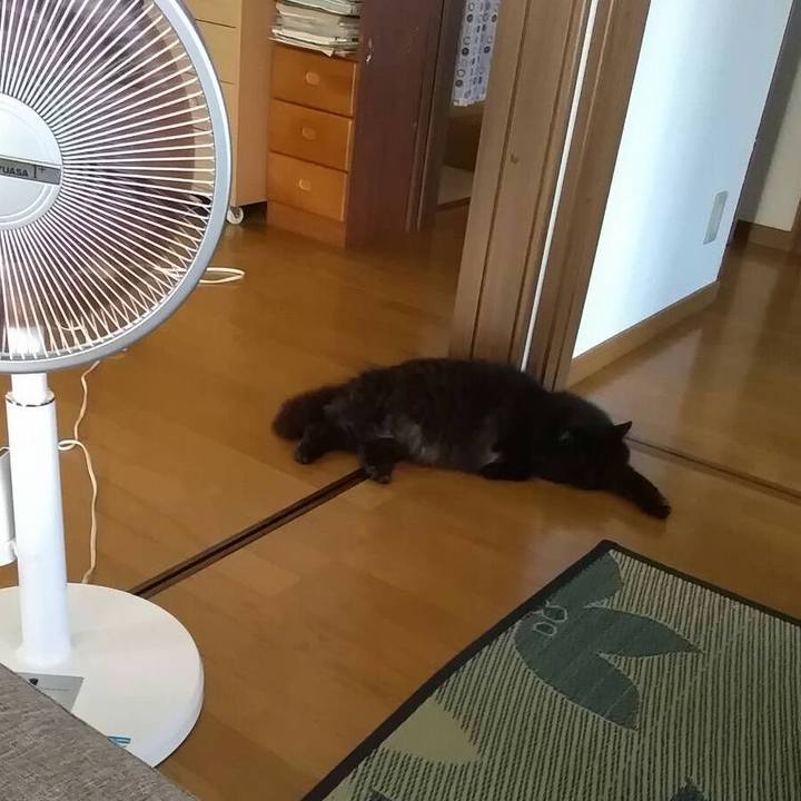 4fd9e951 cf83 45ee 9bfc 70e24576017d 1531186170336