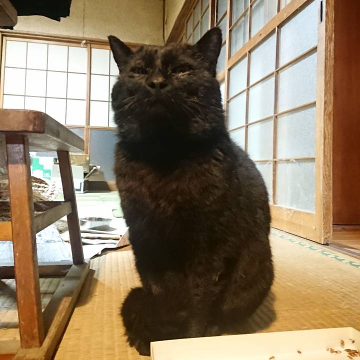 4fd9f850 eb2f 43c5 a572 bd2e8308eebe 1617881278994