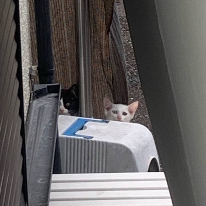 4fda27a9 60a0 42e0 a5c1 114db15cace6 1751987852727