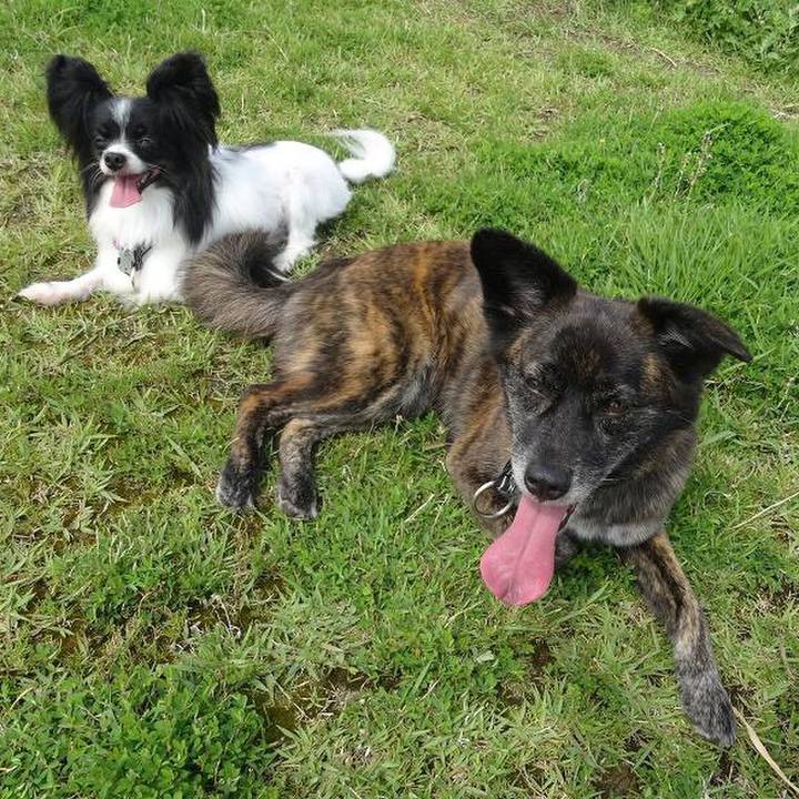 4fda40b6 866f 423e 8ee1 c55fa35f1bf9 1531269733012