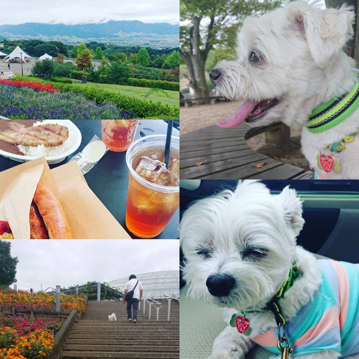 4fdaf397 6f5d 4630 aad1 ac78e0797e62 1601119981614