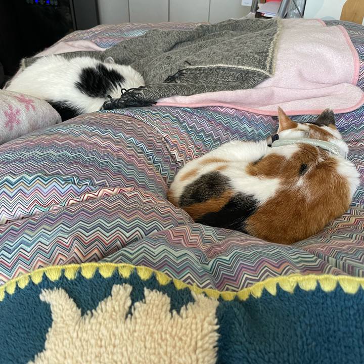 4fdafcff 37a6 4c6f a692 ba793372e95e 1676075466941