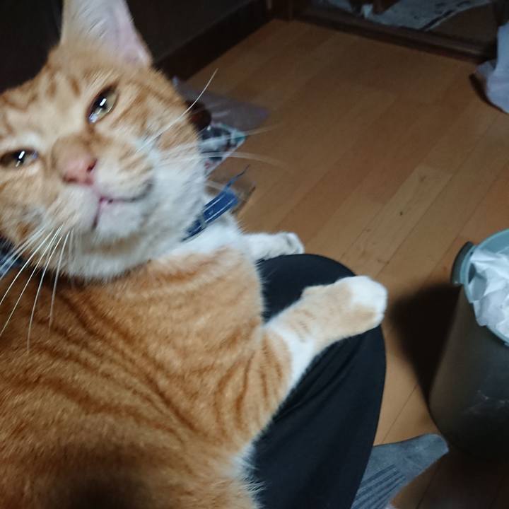 4fdb13bf 45a6 487c 9ce7 f89cb35b45cc 1602920711330