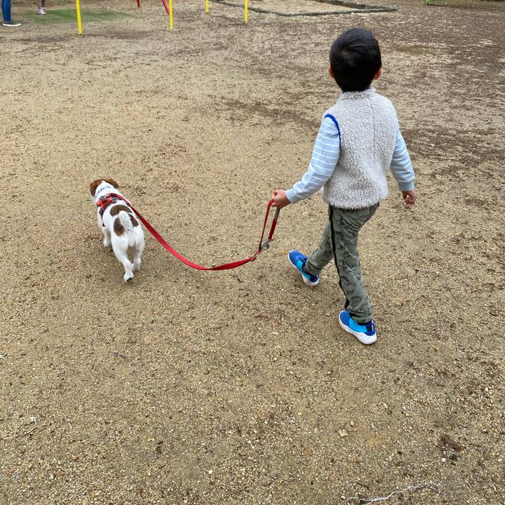 4fdb3fe1 c973 4782 81e9 df182a41ce70 1673769925986