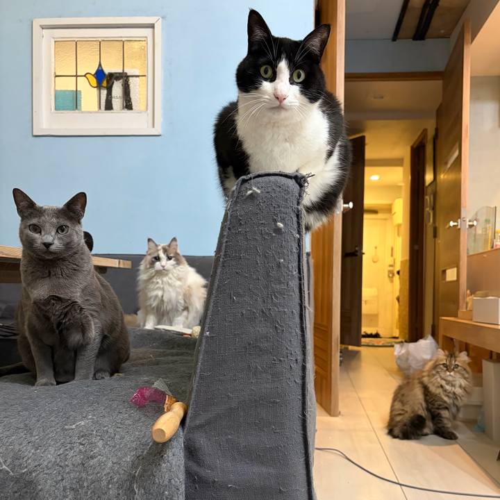 4fdb830b e94d 4be0 9405 a6b8f9e89e29 1772287839990