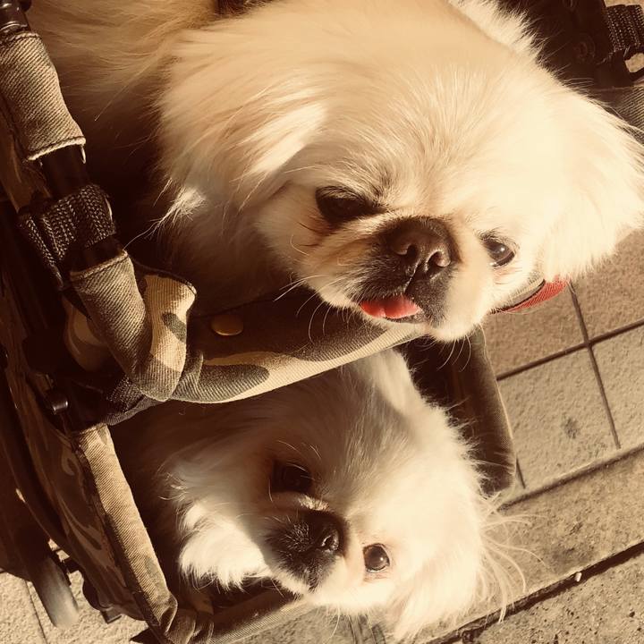 4fdb8c80 1b79 41a7 9898 3db1e4d2651c 1550730203847