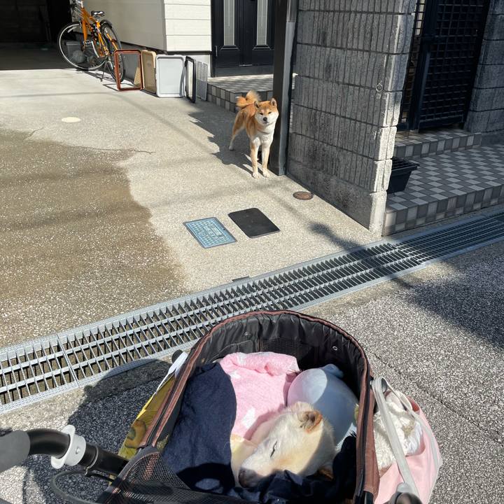 4fdbafa8 edcc 4907 8a67 f4de93a8e025 1675611218651