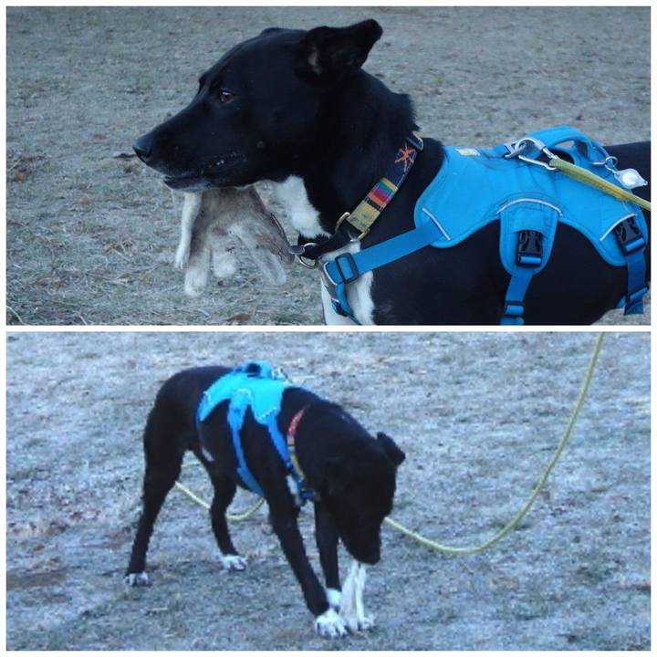 4fdbb721 ba7c 41ca 8876 185ce71702ea 1609460542138