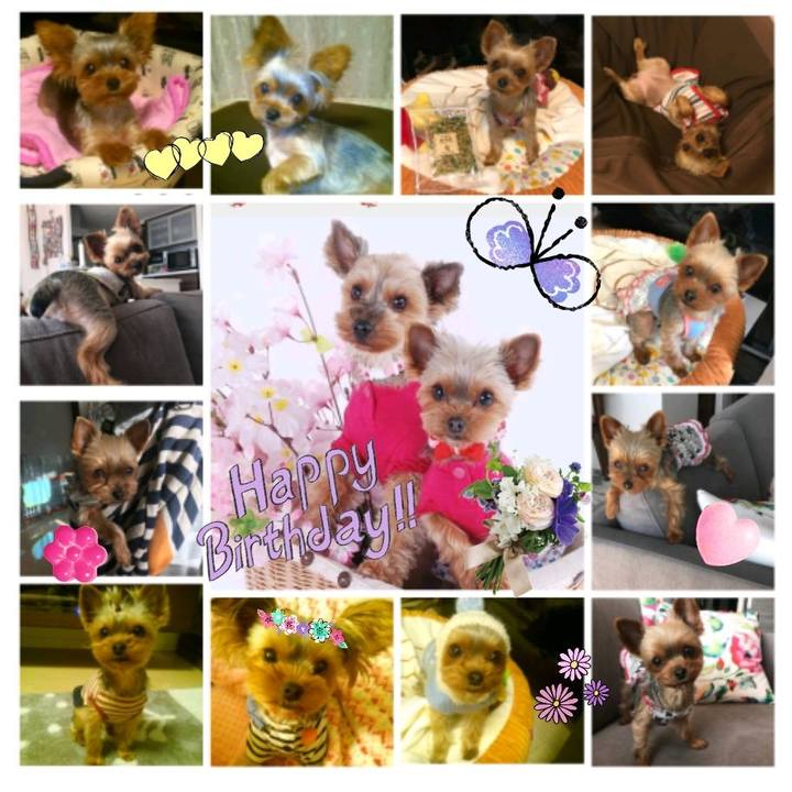 4fdc0a57 ffc4 4948 a580 d6a9e861531e 1520999531647