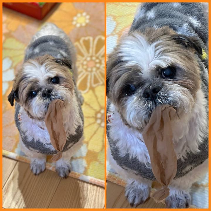 4fdc29b6 9bb8 4c96 aa3b 25fefbc9277c 1681469521665