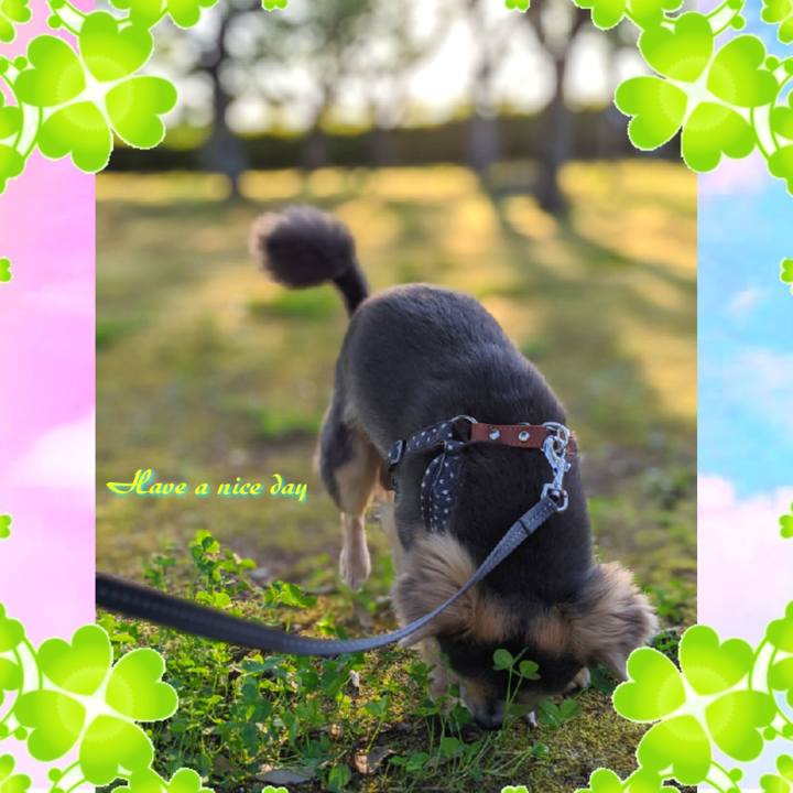 4fdc3b93 3efe 4fab b855 ecf7148423b1 1593557797877