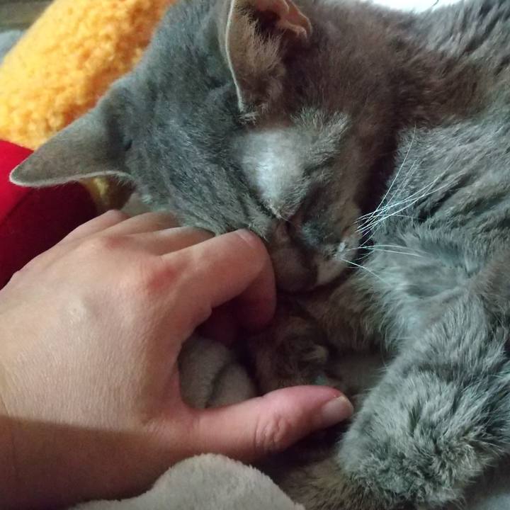 4fdccd57 d610 4f4f 94d3 829189513e69 1698032551790