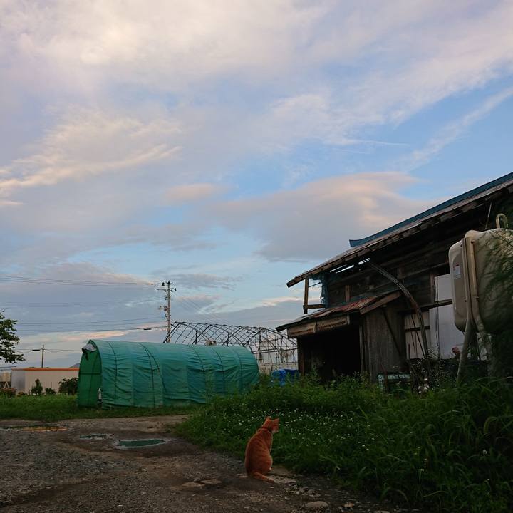 4fdcdc6d d19e 4b32 a55e 942b19f8b1fa 1597571961239