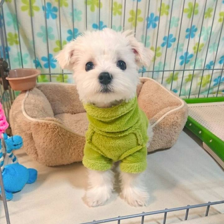 4fdcdf8d 0aa7 4ccf 915b 33ffbd5e17ba 1508902923246