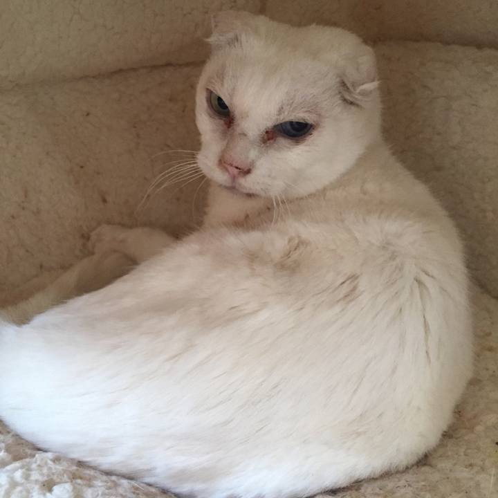 4fdcff4d 0e79 4184 9b5c 537d6cb59119 1520652304468