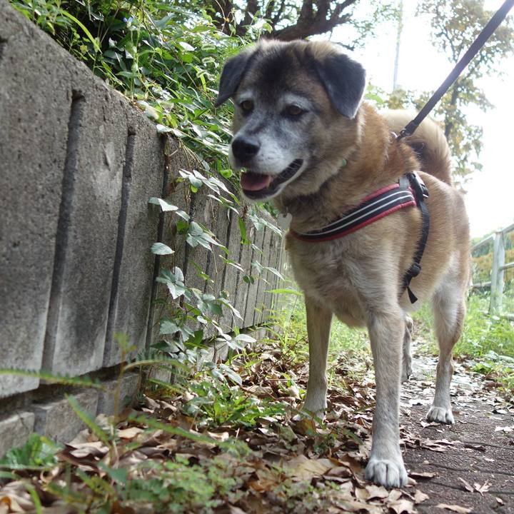 4fdd1c4f 6631 4903 816c 378a06f19ac6 1568508071781