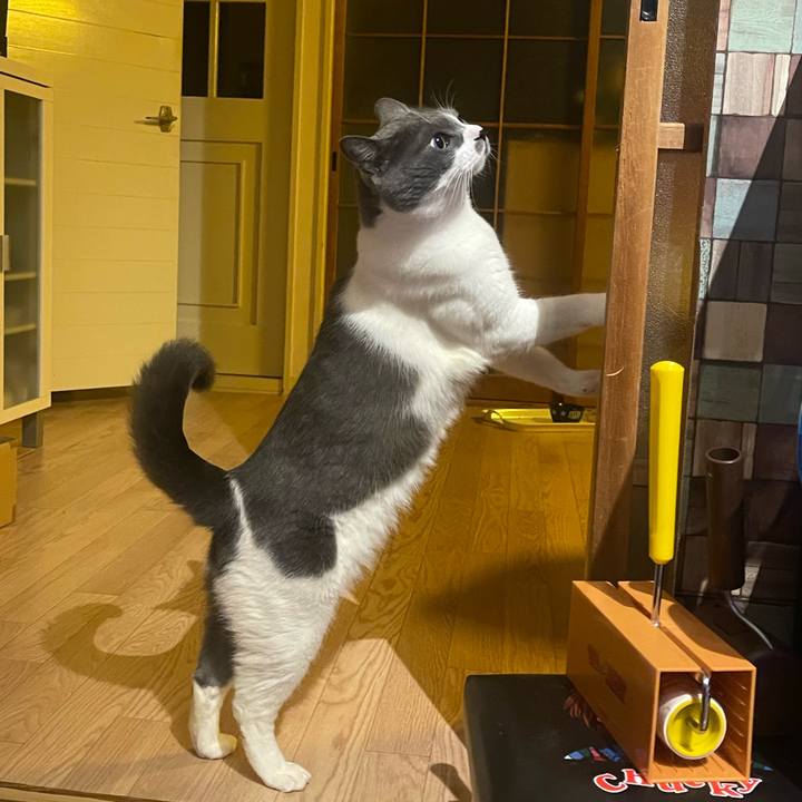 4fdd543e dd86 4fad 9489 d8879c43aba3 1716031206789