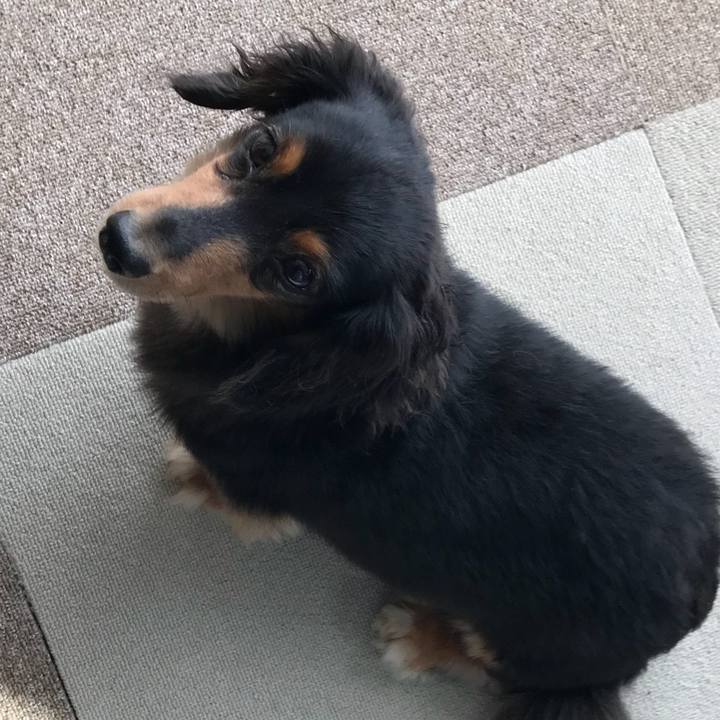 4fdd622a 20fa 443d 9d06 1f87a67423f6 1530224716752