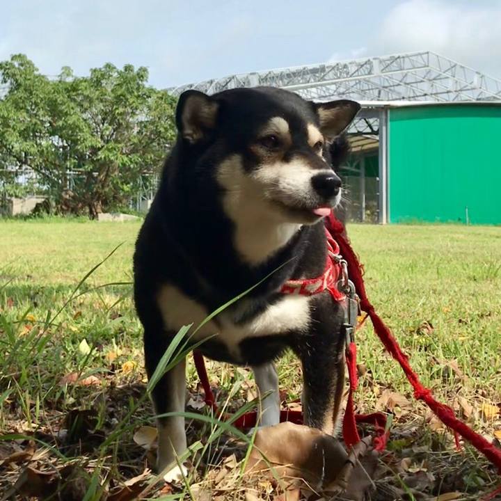 4fdd62dd b76f 4e09 9514 ce8a64693988 1558323315187