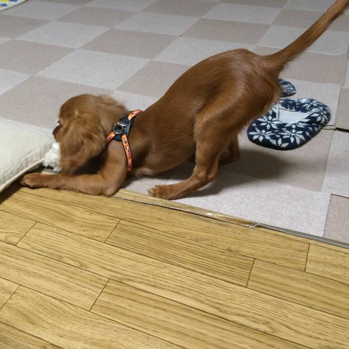 4fdd805e dc26 4f21 b8e6 baee3f71a7a6 1619007265230