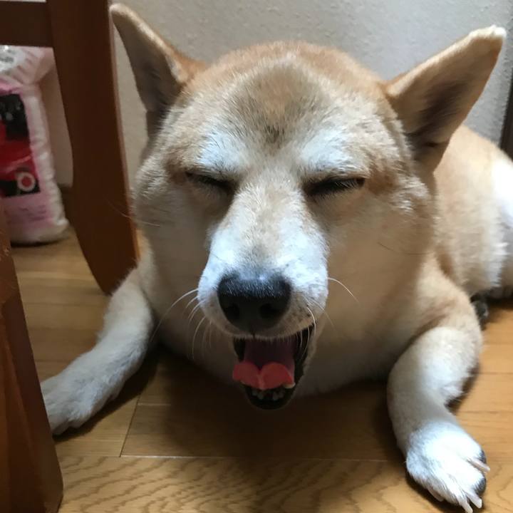 4fdd9d22 0eae 448c 9f31 ceed6f7b2558 1534835124020