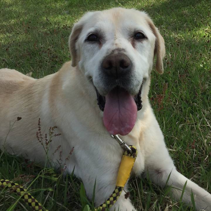 4fdda426 f968 444e 9c83 a32748ed6f17 1526434844170