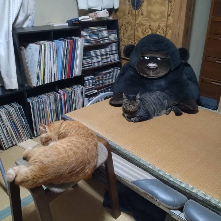 4fddbed6 b9b3 443e 95fc 3bfe201876b7 1694001137842